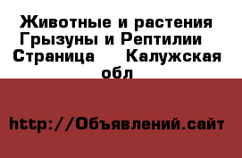 Животные и растения Грызуны и Рептилии - Страница 2 . Калужская обл.